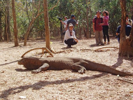 150 Kapal dari 40 Negara akan Ikuti Sail Komodo 2013